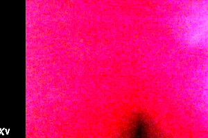 chinese asian girl loves bent over doggystyle fucking