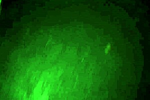 fighting beauties engage in intimate wrestling moves