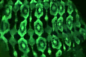 i'm groping beautiful tits & pussy in the parking lot dogging