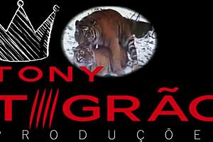 ta l� fam�lia completinha no red a maravilhosa rebecca santos em mais uma das entrepadas do tigr�o