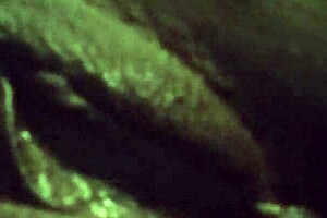 Amateur Teases Shaved Pussy With Vibrator