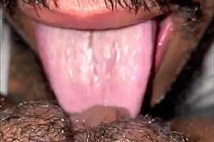 eating good pussy in las vegas c-creator