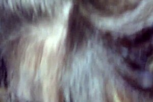 Horny Wife Liz D Sloppily Sucks Cock After Bar