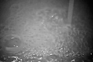 jimena sánchez shows playful mexican charm in sporty scene