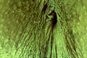 i get goosebumps from deep throat windy tunnel