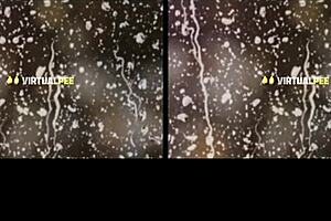 Vr Playful Pissing With Jenifer Jane And Vanessa Decker