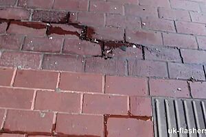 meowing for attention in a playful outdoor setting