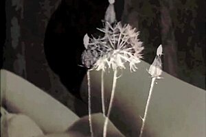 Vintage pornostalgia the ghosts of christmas past