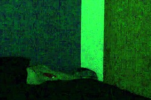 i party with a str8 jock and suck his cock.