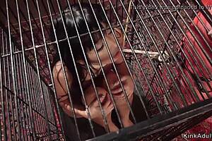 petite asian slave feels deep anal strap-on pleasure