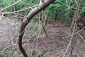 girlfriend masturbates and cums in public nature with orgasm