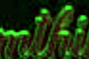 Wife cheats with friend's lover during visit!