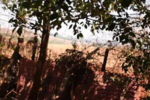 Meu Me Deicho Com Seu Amigo Eu Estava Sem Calcinha