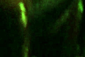 lesha GAGS on a DEEPTHROAT blowjob, being a NASTY SLUT with sloppy CHOKING.