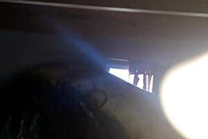 O mês de la petisa haciendo oral