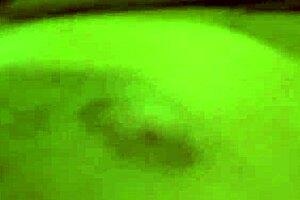 Brunette milf gives blowjob and handjob during seductive massage