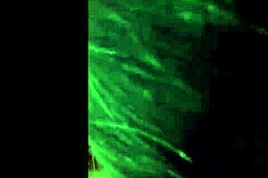 Gabriela Stokweel - As 5 Melhores Gozadas Na Boca Da Especialista Em Sexo Oral Parte 3