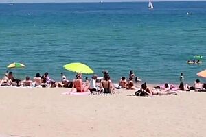 Pov Novatas Miss Peach Blowjobs Mr Banana