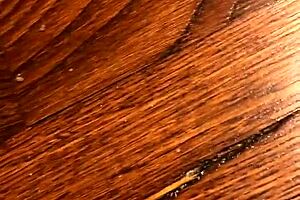 Hey, licking those dirty feet feels so fetishy 😋