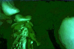 vintage interracial encounter