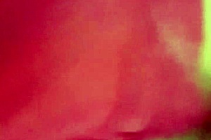 The Arrival of the Three Kings, Hopefully They Bring Gifts