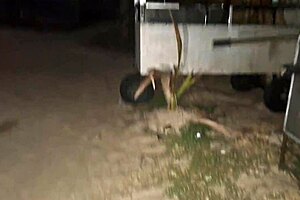 Fanny Casada Se Exibe Sem Calcinha Em Publico Na Rua