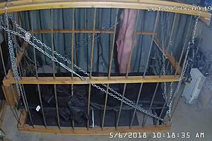 Man, this cagecam feed is raw and unedited straight from the cage! 😲