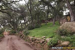 Why is lost blondie Ella Reese pounded by bbc stranger?