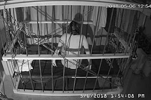 Man, this cagecam feed is raw and unedited straight from the cage! 😲