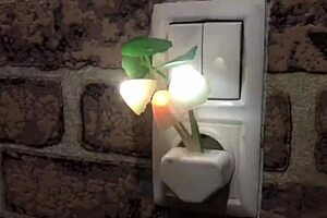 Seeks Internetspb for Big Cock Oral with Monster Cock Teen 😏