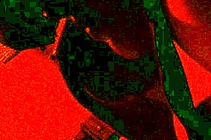 Chubby Mexican Sur Duck In Big White Dick