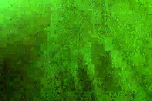 i hadn't had it in a long time