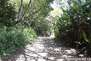 Morning Run Turns Into Bareback Monster Cock Encounter