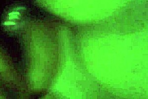 local prostitutes provide intimate home services