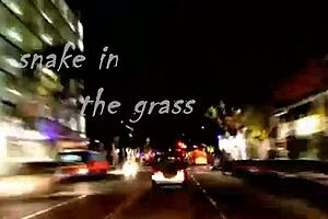 Snake in the grass part 1 features intriguing 3d cartoon adventures