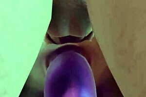 Exploring the beta version of bob 2