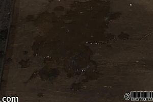 Four angels inside petite cage?