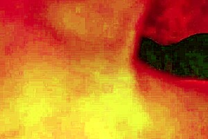 selfie looking yummy, wanna check it out?