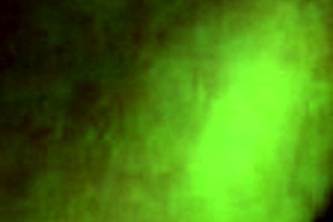 i finally fucked my indian maid after her amazing blowjob