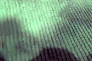 innocent girl begs for halloween candy with blowjobs and cum in mouth 😈