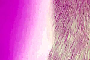 Beautiful Lady With Massive Juggs Drilled Hard By Monster Cock