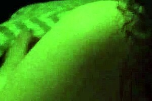 Interracial Connections Explored in Diverse Scenarios