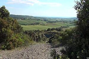 Suzie Q Masturbates Outdoors With Dildo