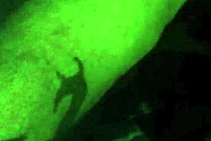 i'm fuckin brittney so hard, oh yeah