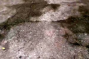 i can’t stop thinking about that gay brasileiro jerking off in the woods.