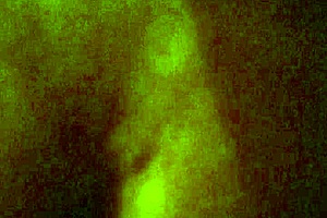 Mexican girl sucks cock and takes anal while bound.