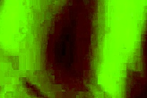 Sexy Teen 18+ Sophia Leone Has a Big Ass Fucking Huge Cock