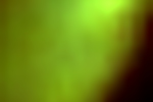 Sexy Teen 18+ Sophia Leone Has a Big Ass Fucking Huge Cock