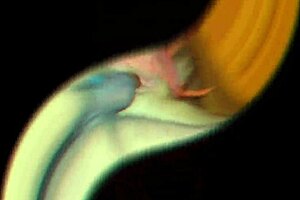 i fuck my blonde wife with anal plug