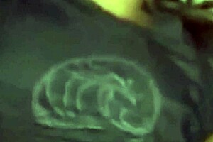 girlfriend sucks friend and gets fucked